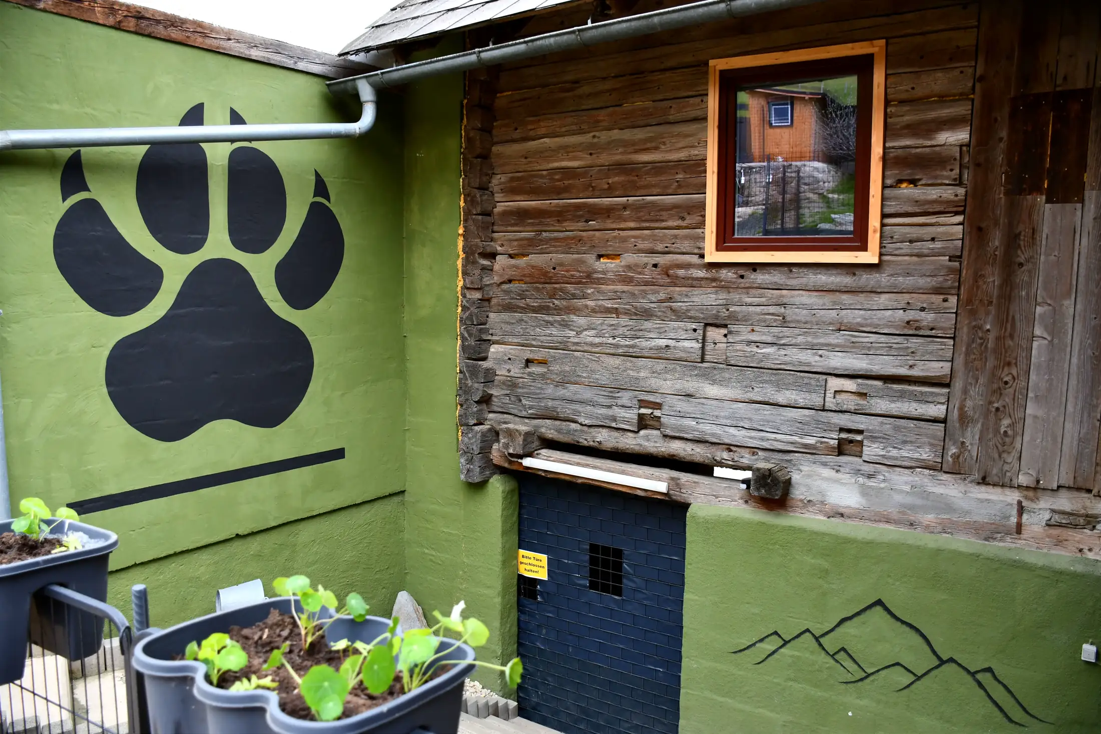 Gallery image 2